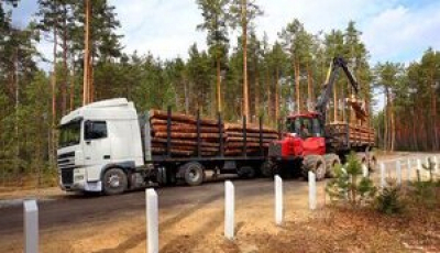 &quot;Ліси України&quot; цього року збільшили сплату податків майже на 850 мільйонів,